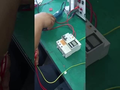 100A 2p 4p Water Immersion Alarm Leakage Current Circuit Breaker Multifunction RCBO