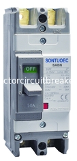 CE 2P 100A Mccb Molded Case Circuit Breaker