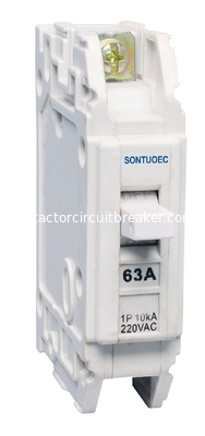 Plug In Mounting MCB Circuit Breaker Comply With Southern American Market