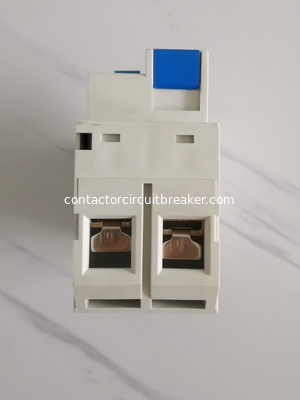 2P 4P 6KA 100 Amp RCCB Circuit Breaker Isolation Switching IEC61008